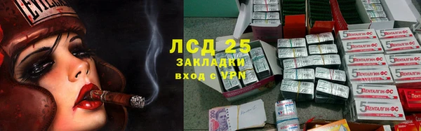 ешки Аркадак