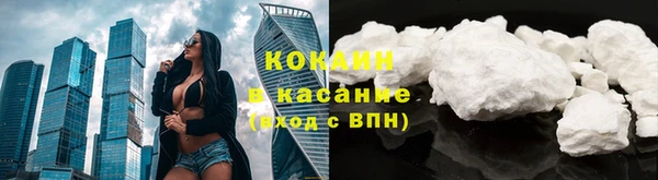 дмт Арсеньев