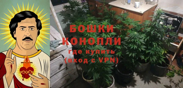 дмт Арсеньев