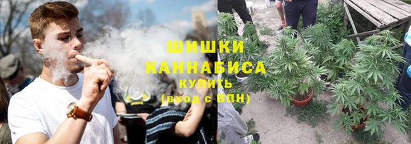 ешки Аркадак