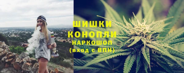 ешки Аркадак