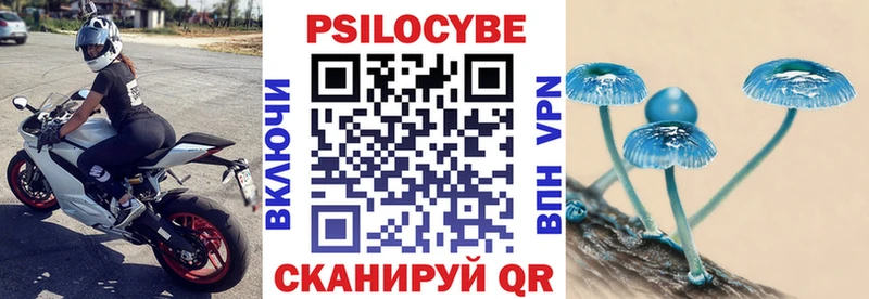 Псилоцибиновые грибы GOLDEN TEACHER  купить наркоту  KRAKEN маркетплейс  Певек 